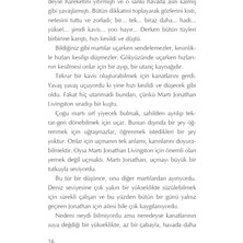 MWX Teknoloji Martı Jonathan Livingston