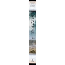 Mabelme Store Drizzt Efsanesi 11. Kitap - Sessiz Kılıç