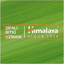 Grains Global Himalaya Parlatıcı Dudak Kremi, Lip Balm, Çilek, Kayısı Çekirdeği Yağı, NEMLENDIRICI,%100 Doğal Renk, Silikon Içermez, 4,5 gr