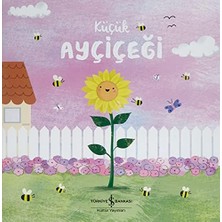 Grains Global Küçük Ayçiçeği