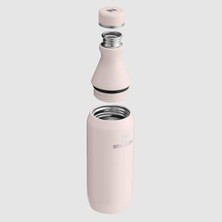 Grains Global All Day Slim Soğuk Su Şişesi Termosu, 0.35 Litre, Pembe Kuvars (Rose Quartz)