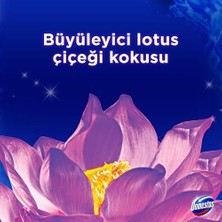 Grains Global Tuvalet Bloğu Lotus Çiçeği 100 Gram