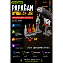 Genç 3D Papağan Eğitici Oyun Seti - Basketbol ve Halka Geçirme Oyunu - Kuşlar Için Zeka Geliştirici ve Eğlenceli Kafesi