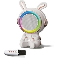 Grains Global 20W 2400 Mah Karaoke Mikrofonlu Ledli Bluetooth Hoparlör BTS-252