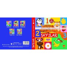 Sayılar