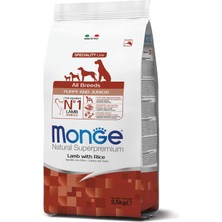 Monge All Breeds Puppy Tüm Irklar İçin Kuzulu Pirinçli Yavru Köpe