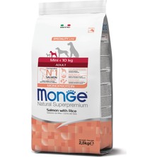Monge Mini Adult Tek Proteinli Somonlu Pirinçli Yetişkin Köpek Ma