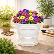Melkan Home Papatya Desenli Dekoratif Siyah Saksı 7,3 Litre Dayanıklı Çiçek Saksısı Balkon Bahçe Salon Için