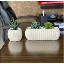 Empressco Şeffaf Plastik Mercan Saksı, Dayanıklı ve Modern Tasarım