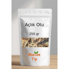 Mucize Tıp Açlık Otu Kurusu Dökme 250 gr