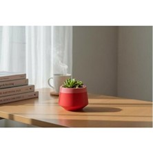 Empressco Mini El Yapımı Taş Tozu Saksı, Kırmızı Modern Dekoratif Obje