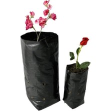 Empressco 15X35 cm Fidan Poşeti, 45 Adet, 1 Kg, Yetiştirme ve Fidan Bakımı Için