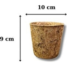 Empressco 5'li Organik Bitki Saksısı Seti, 9X10 Cm, Şık ve Kullanışlı Tasarım