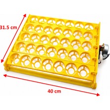 YCL Tavuk Yumurtası Viyolü(35'lik, 2.5/3 Rpm Motorlu)