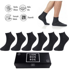 Lion Monroe Saf Bambu Erkek Yarım Konç Düz Antrasit Çorap Dikişsiz Premium Kutulu 6'lı L5952AZNP Softaura