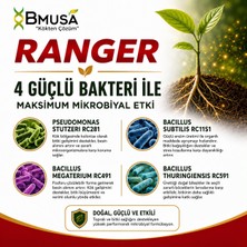 Bmusa Ranger 250 cc Faydalı Toprak Bakteri Içeren Organik Mikrobiyal Gübre Bitki Besleme Ürünü