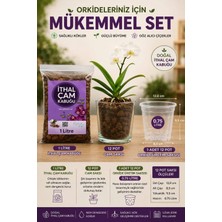 1 Litre Ithal Çam Kabuğu + 1 Adet 12 Pot Cam Saksı + 0.75 Litre Orkide Üretim Saksısı, Orkide Seti