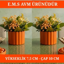 E.M.S 2 ADET TURUNCU ÇUBUK DESEN SAKSI SUKULENT SAKSISI MENEKŞE SAKSISI DEKORATİF SAKSI 7,5 X 10 CM.