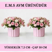 E.M.S 2 ADET PASTEL PEMBE ÇUBUK DESEN SAKSI SUKULENT SAKSISI MENEKŞE SAKSISI DEKORATİF SAKSI 7,5 X 10 CM.