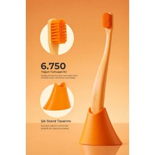 Promis Box Turuncu Diş Fırçası + Antibakteriyel Stand – 6750 Yumuşak Kıl, Biyoplastik Sap