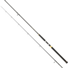 Daiwa Legalis Cf 305 cm 60-120 gr Shore Jig Kamış