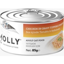 Molly Sos Içinde Tavuklu ve Balkabaklı Kedi Islak Maması
