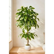 Cihan Çiçekçilik Premium Kalite Yapay Ceviz Ağacı 180 cm 27X33 Küre Saksı