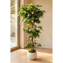 Cihan Çiçekçilik Yapay Limon Ağacı 180 cm - 6 Limonlu Beyaz Küre Saksılı 27X33 cm