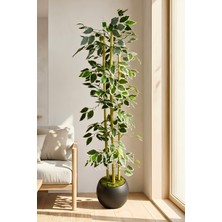 Cihan Çiçekçilik Yapay Alacalı Ficus Ağacı 3 Bambulu 110 cm 27*33 Siyah Küre Saksılı
