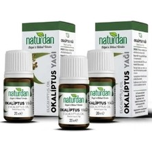 Naturdan Okaliptus Yağı(Eucalyptus Oil) Yağı 20 ml 3 Lü Set