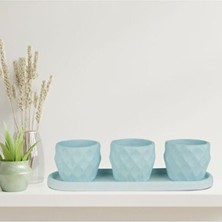 Empressco Renkli Sukulent Saksı Seti, Şık ve Modern Dekorasyon Için Ideal