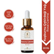 Sera Natura Kuşburnu Çekirdeği Yağı 20 ml %100 Saf ve Doğal