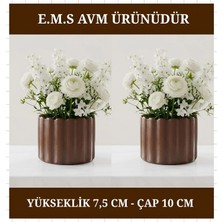E.M.S 2 ADET KAHVERENGİ ÇUBUK DESEN SAKSI SUKULENT MENEKŞE SAKSISI DEKORATİF SAKSI 7,5 X 10 CM