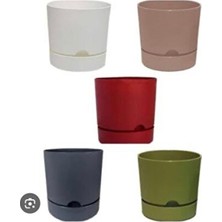 Empressco 5 Adet Renkli Begonya Saksısı, 9 Cm, 0,5 Lt, Polıwork Set