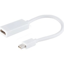 Skygo ZR138 Mini Dp Hdmı Çevirici Kablo 30 cm