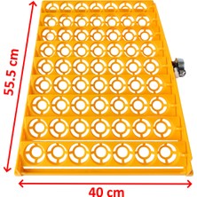 YCL Tavuk Yumurtası Viyolü(63'lük, 2.5/3 Rpm Motorlu)