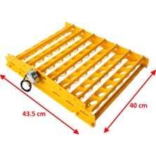 YCL Tavuk Yumurtası Viyolü(49'luk, 2,5/3 Rpm Motorlu)