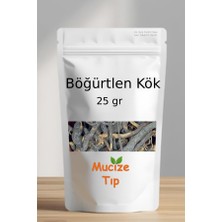 Mucize Tıp Böğürtlen Kök Dökme 25 gr