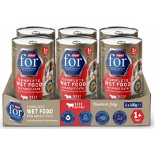 Flexi For Biftekli Yetişkin Kedi Konservesi 400 G x 6 Adet – Tam Yaş Kedi Maması