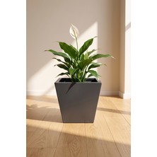 Desen Dekorasyon Zenith 30 cm Dikey Metal Saksı - Iç ve Dış Mekan Modern Dekoratif Saksılık (30X30/20 Cm)