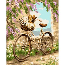 Hengam Sayılarla Boyama Kasnaklı Tablo Seti. Fırça Boya Dahil 40X50CM *bisiklet*