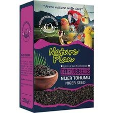 Artisan Cappadocia Delicious Serisi Nijer Tohumu 250 gr