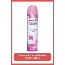 Domol Koku Spreyi Zambak Ferahlığı 300 ml