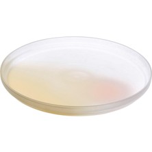 Paşabahçe Nude Pigmento Orta Boy Servis Tabağı 28 Cm, Servis Tabağı, 1 Adet