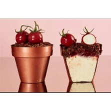 Empressco Polikarbon Special Saksı Çikolata Kalıbı 180 Gr, Dayanıklı ve Kullanışlı