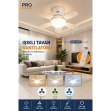 Pro Müller Alman Alman Kömürsüz Sessiz Motor Tavan Tipi 3 Renk Aydınlatmalı Fan Vantilatör (Sinek Kovar )