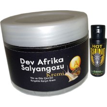 Fırfır Moda Giant Dev Afrikasalyangozu Yaşlanmakarşıtı Kremi 100 ml + Hotrhino Bay Bayan Analrahatlatıcı Krem