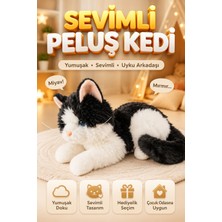 Empressco Sesli Miyavlayan Siyah Peluş Kedi Oyuncak 35 cm Uyku Arkadaşı
