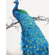 Liva Craft Elmas Mozaik Tablo Mavi Tavus Kuşu – 60 x 84 cm