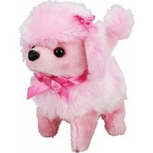 Hsc Bilişim Sevimli Poodle